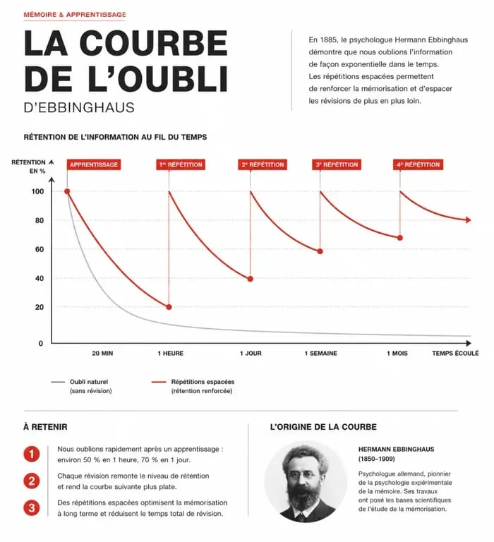 Courbe de l'oubli d'Ebbinghaus illustrant comment bien réviser grâce à la répétition espacée